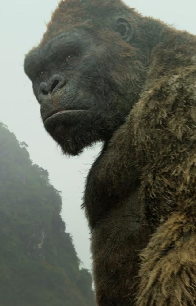 Unveiled Kong’s origins in a stylish, war-torn setting. It added crucial lore and teased future confrontations.