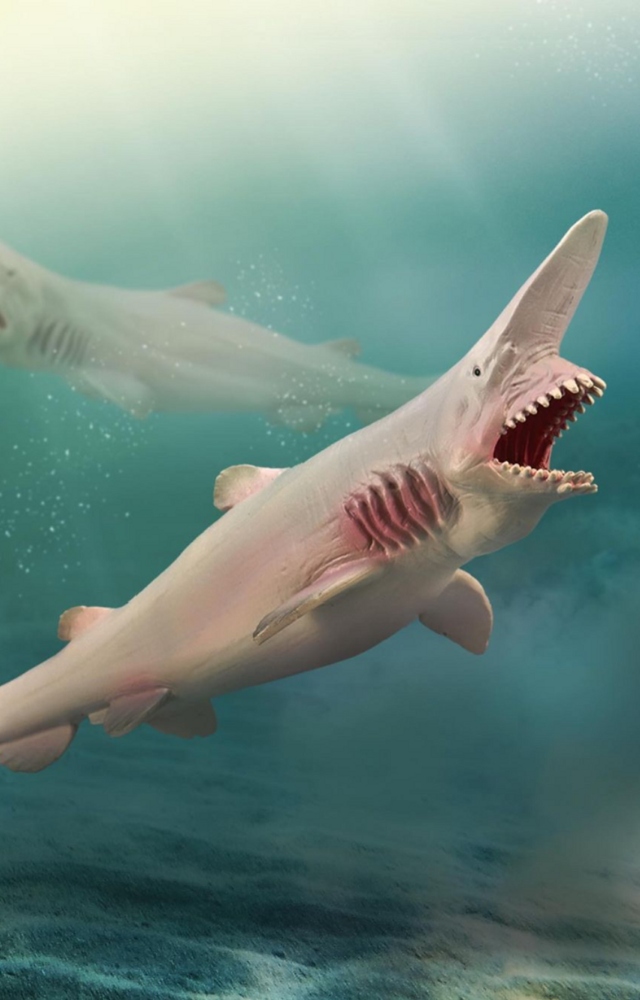 A deep-sea predator with a terrifying jaw snap mechanism and ancient lineage. Often called a “living fossil.”
