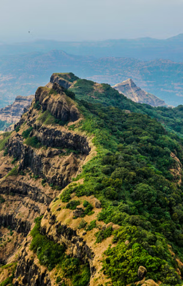 The Western Ghats come alive with misty views, waterfalls, and fresh strawberry farms.