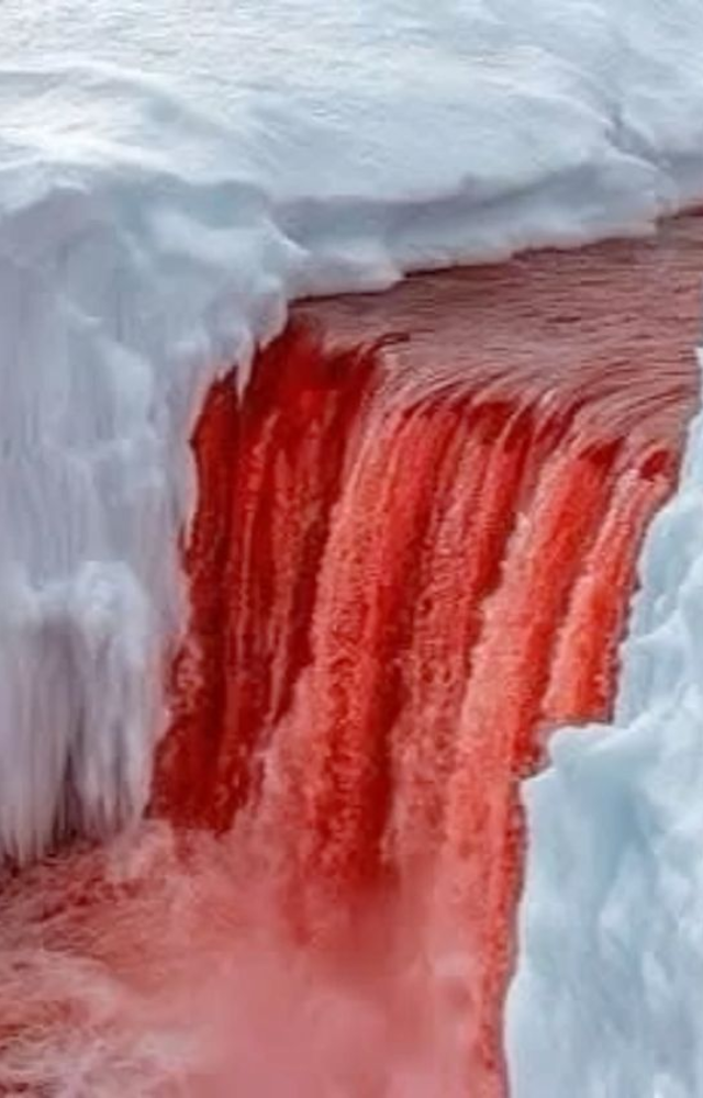 A red-colored waterfall flows from a glacier, stained by iron-rich water reacting with oxygen—eerie and real.
