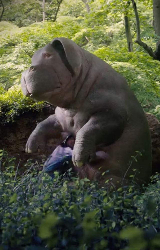 A heartwarming story with a powerful message. Witness the bond between a girl and her beloved super pig.