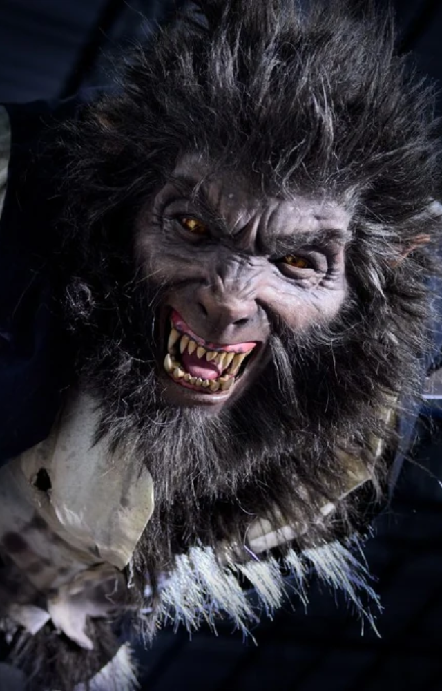 A horror reimagining that blends folklore with primal fear. Expect suspense, transformation, and blood-curdling thrills.
