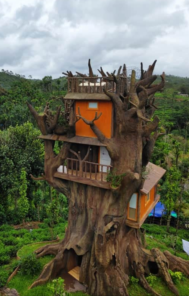 Perched amidst rainforest canopies, these treehouses offer tranquility and breathtaking views of the Western Ghats. Perfect for nature lovers seeking peace. 