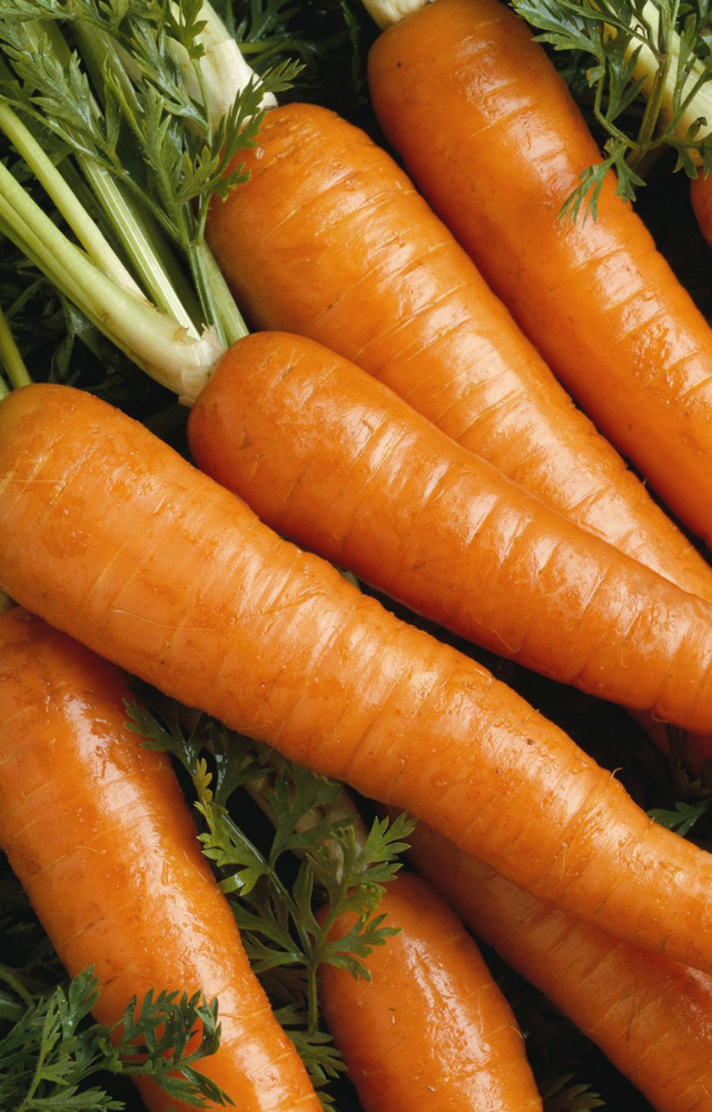 Carrots can be grown in deep pots or containers. They prefer cooler temperatures, making them ideal for indoor gardening.
