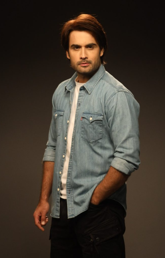Bigg Boss 18: The Versatile Vivian Dsena