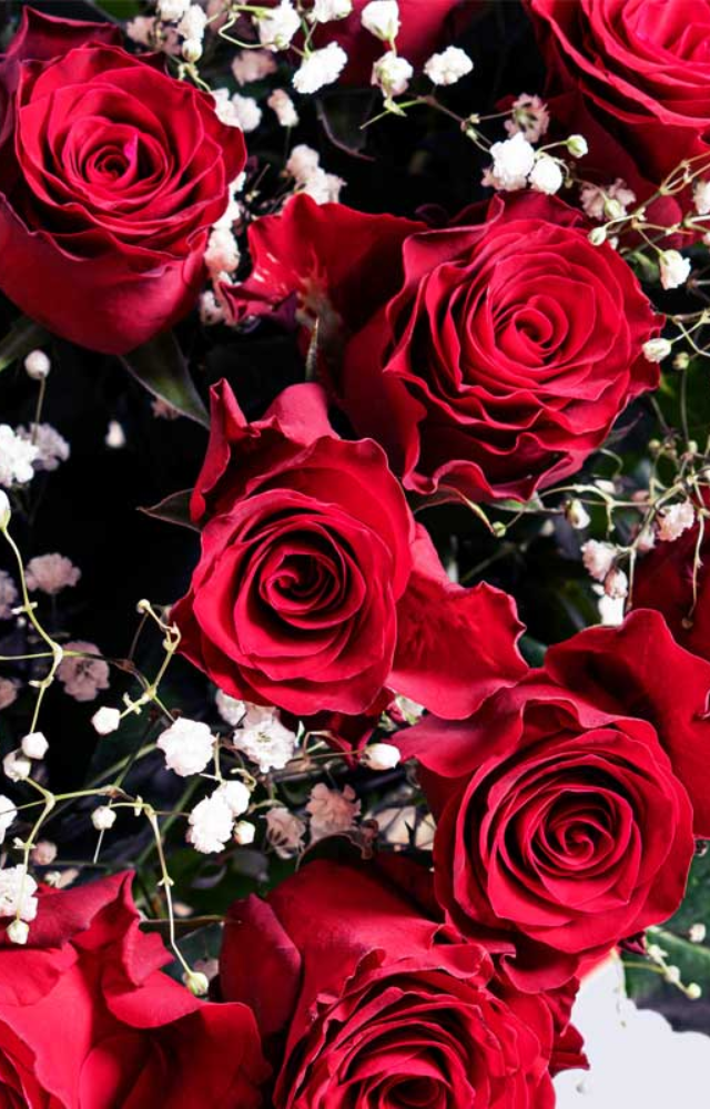 Red roses are timeless and symbolize deep love and passion. A perfect choice for expressing heartfelt emotions.
