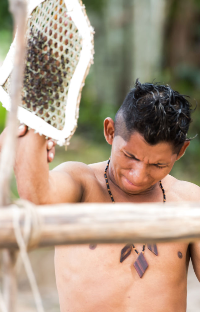 Young boys wear gloves filled with venomous bullet ants to prove their manhood. The pain is extreme, yet it’s a sacred rite of passage.
