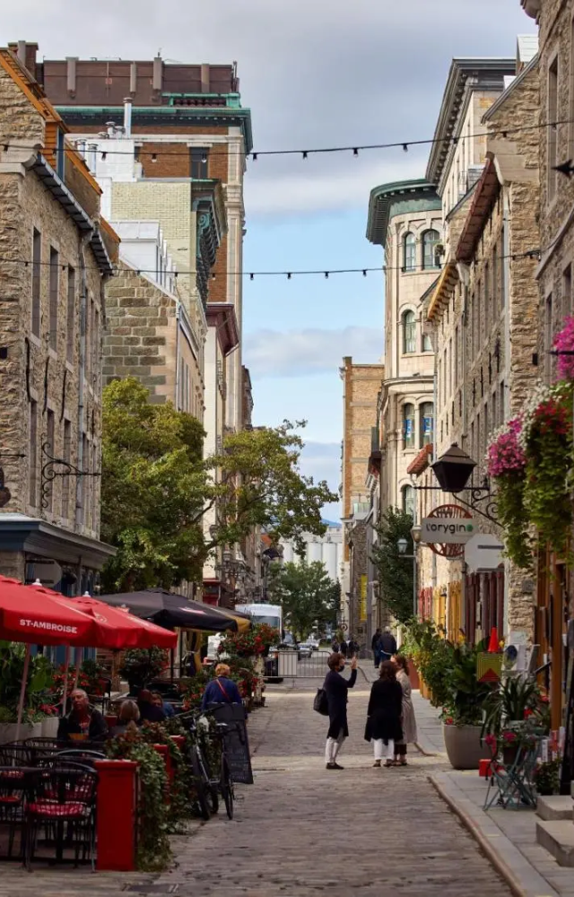Explore the stunning national parks, charming cities, and friendly culture in this perfect destination for women travelers.
