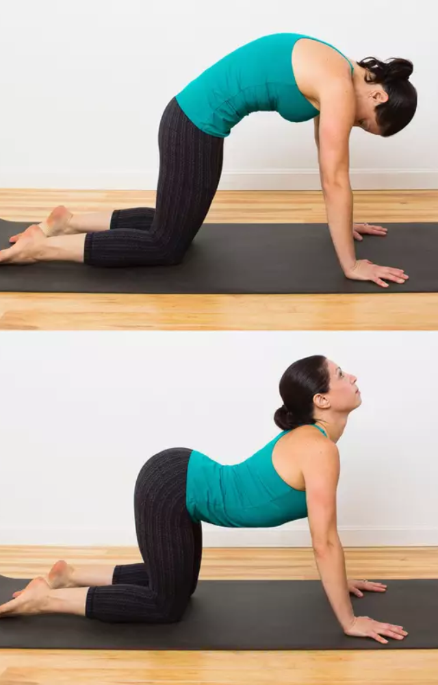 This gentle pose warms up the spine and improves mobility.