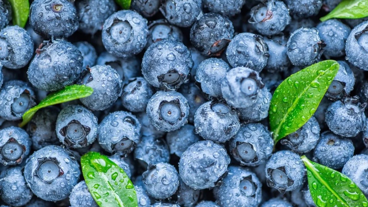 2. Blueberries